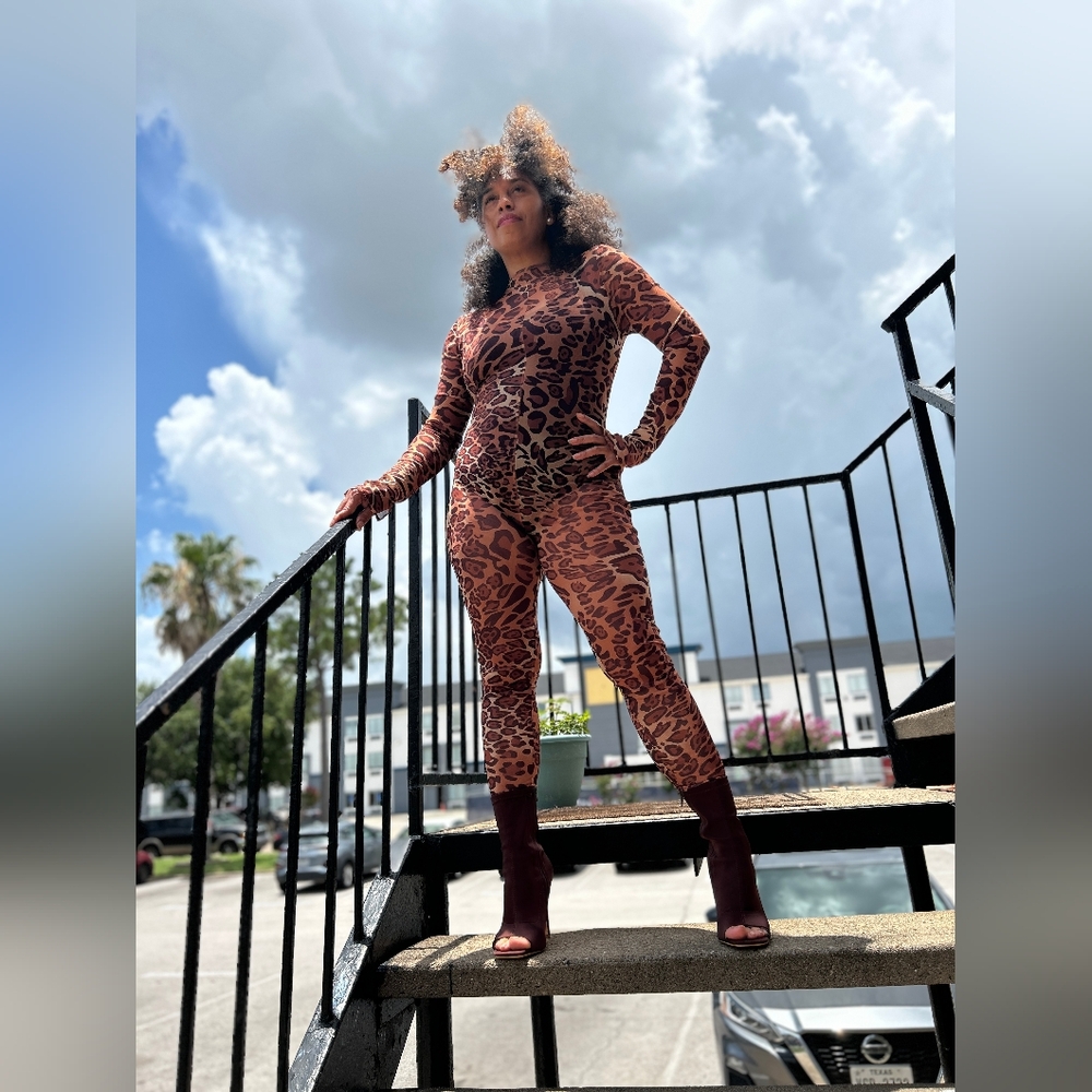 🐆 Leopard  Sheer Jumpsuit